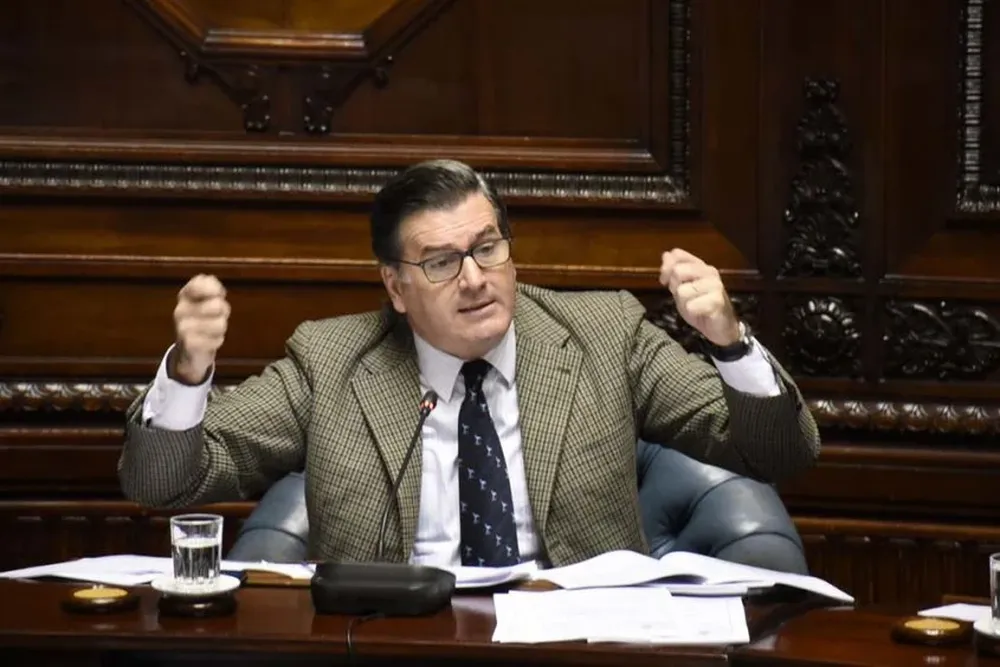 Bordaberry seguirá en el Senado