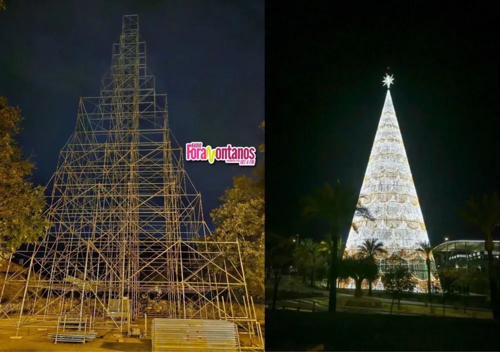 Construcción del árbol de Navidad en Cartes