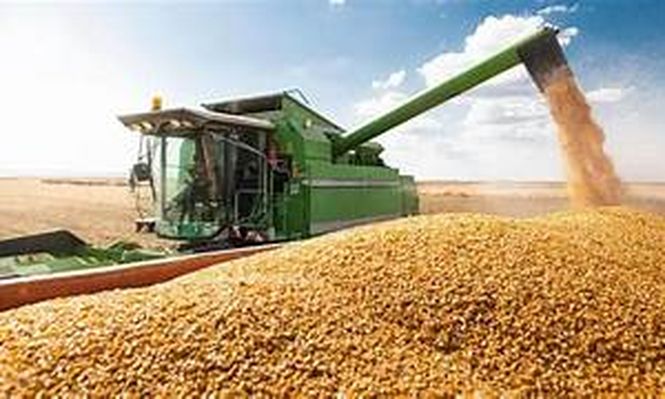 El agro exportaría por US$ 34.800 millones en la campaña 2025/26
