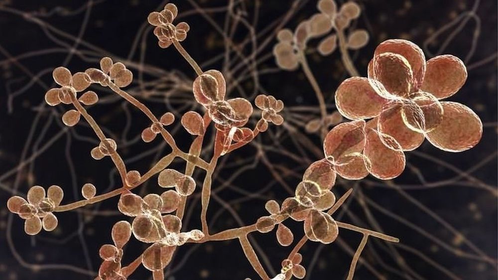 _128594068_0128247a-03af-4c17-afef-90fffb45467b