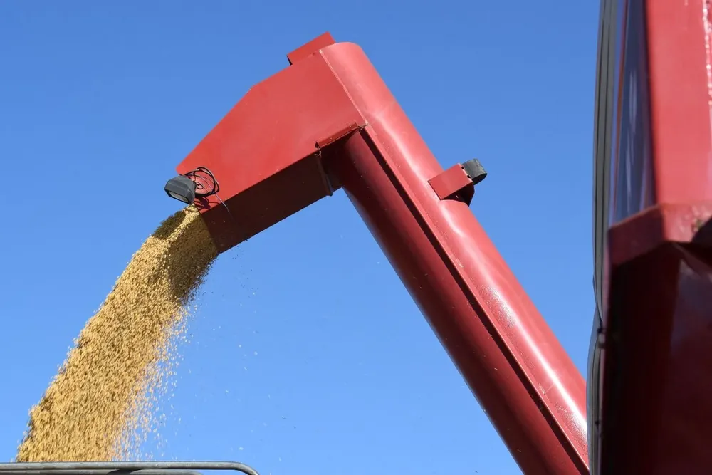 Es una cosecha, la de soja, que puede ser histórica para la agricultura uruguaya.