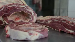 La inserción internacional hecha carne