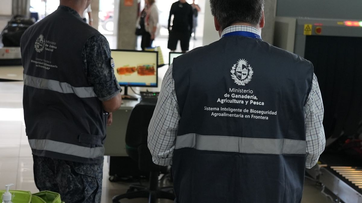 Información clave para miles de uruguayos que viajaron al exterior: lo que está prohibido traer al país