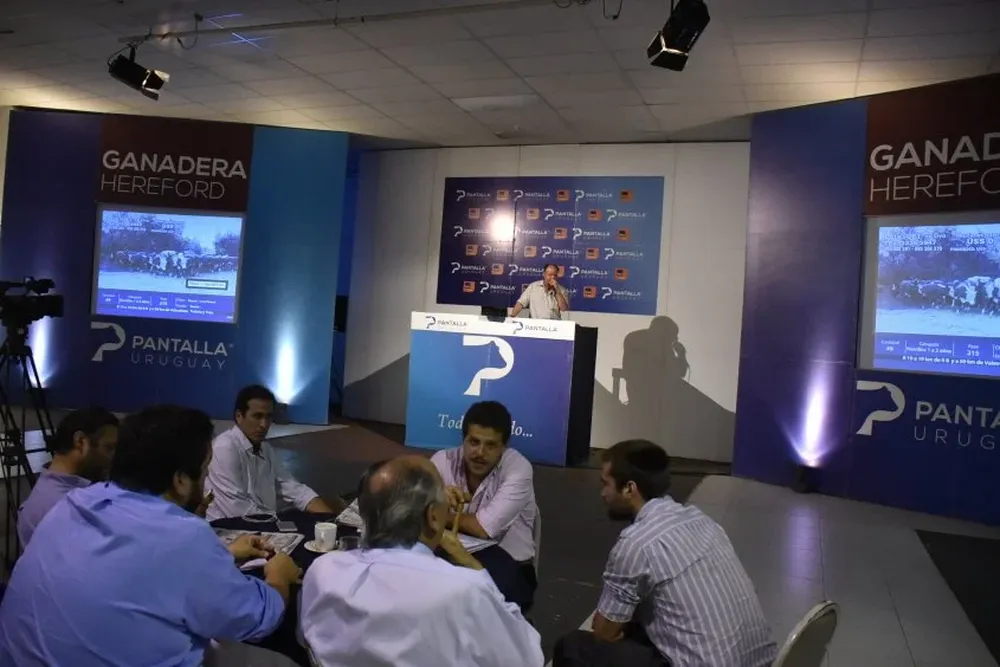 Se viene una instancia ideal para invertir en buenos ganados, pero con pocos kilos.