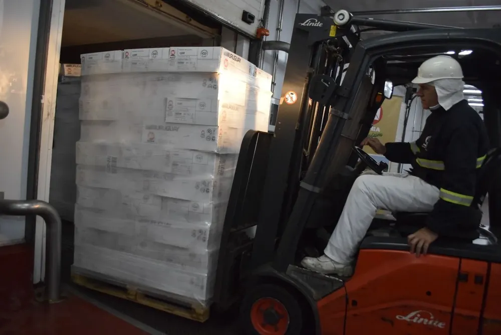 Mejoraron los ingresos por exportaciones de carnes ovinas.