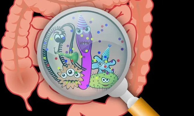 ¿Por qué es importante cuidar el equilibrio de las bacterias que viven en nuestro cuerpo?