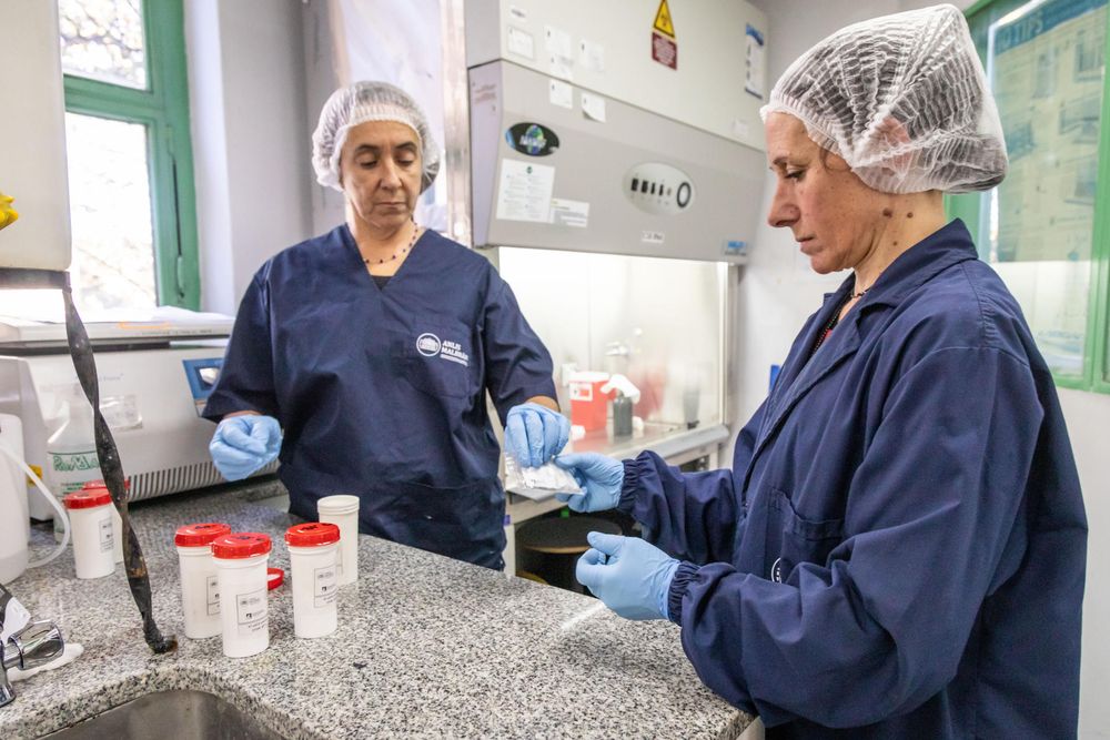 Argentina envió a países de África y Europa, entre ellos España, insumos para realizar pruebas de diagnóstico de hantavirus, a partir del brote detectado en el crucero turístico MV Hondius
