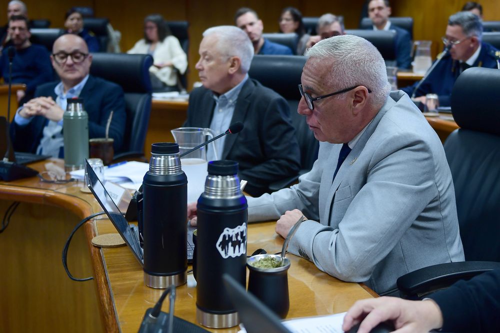 Ministro Carlos Negro asiste a la comisión de seguridad de Diputados.&nbsp;
