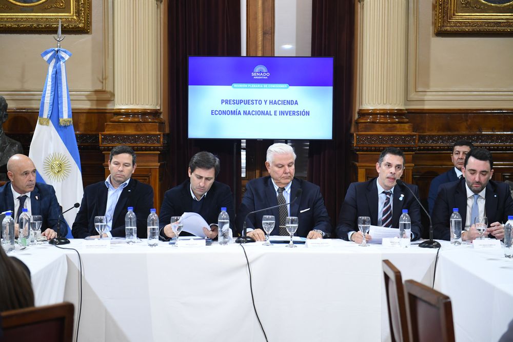 En el plenario de Goerling y Monteverde estuvieron el procurador del Tesoro, Sebastián Amerio; el subprocurador del Tesoro, Juan Ignacio Stampalija; y el secretario legal y administrativo del Ministerio de Economía, José Ignacio García Hamilton.