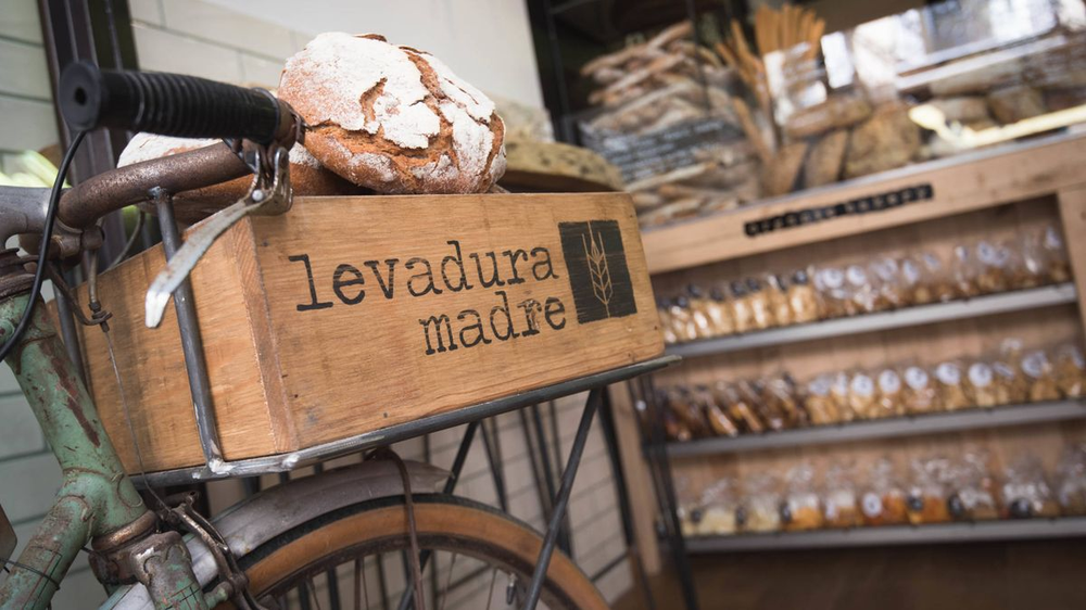 Establecimiento de Levaduramadre