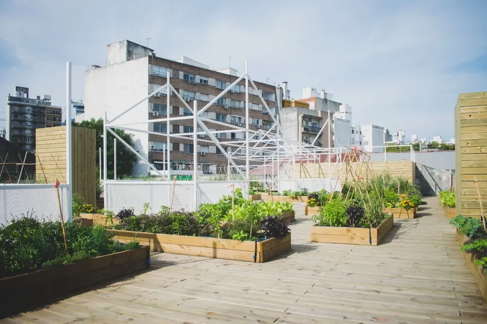 La huerta quedó lista tras un año y medio de trabajo.