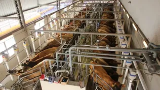Negocian fórmula para evitar cierre de Ecolat