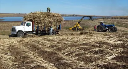 El encargado de llevar adelante la negociación de aquí en más será ALUR.