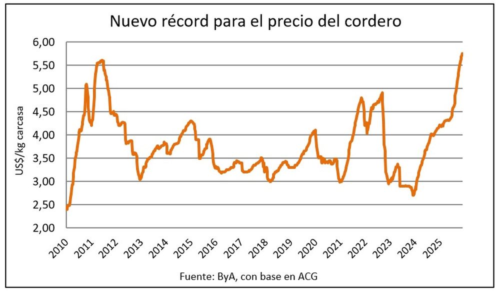 Cordero: un precio soñado por los productores.
