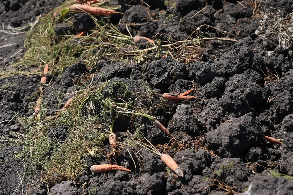 El gobierno estima que la sequía deje pérdidas millonarias.