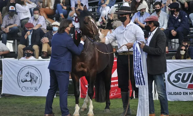El presidente besa al Gran Campeón, lo observan Flavio Piegas (cabañero) y Diego de Brum (presidente de la gremial de criadores).