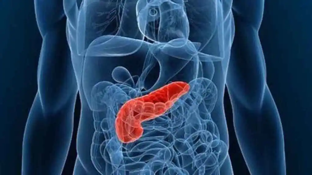 Hallazgo en el cáncer de páncreas en un hospital de Barcelona.&nbsp;