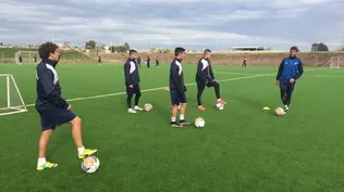Los tricolores entrenaron en su cancha de césped sintético