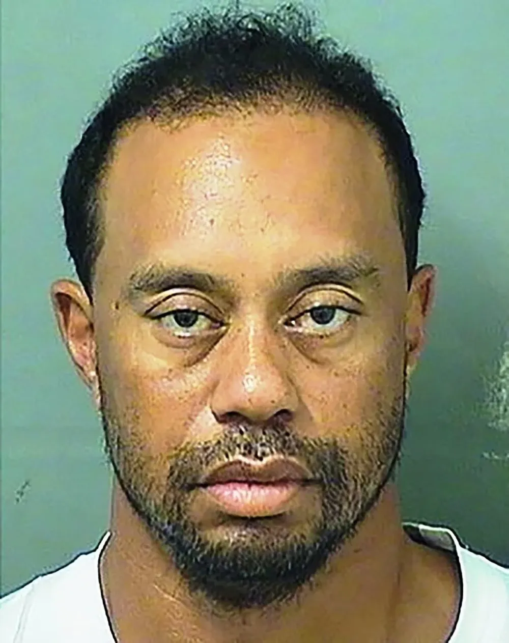 Tiger Woods