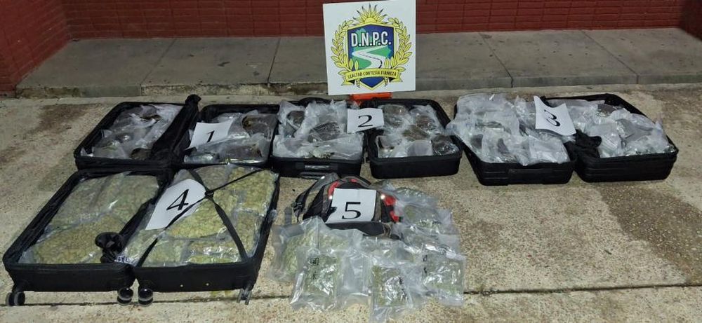 Marihuana incautada en el control vehicular en Ruta 8