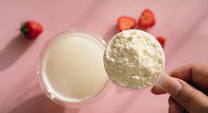 Los polvos de proteínas se han convertido en un alimento básico en la dieta de muchas personas.