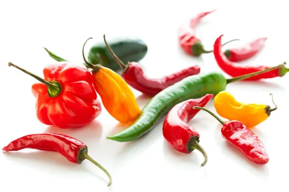 La familia de los Capsicum (pimientos) contiene una sustancia pungente