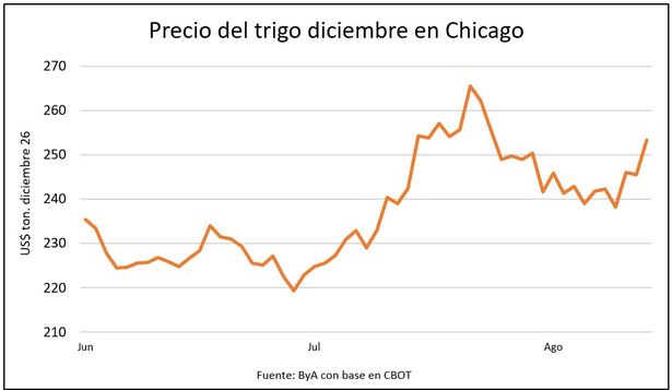 Granos con flechas hacia arriba al promediar agosto de 2026.