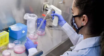 La variante Andina, como también se le denomina, está presente en 15 países, según estudio