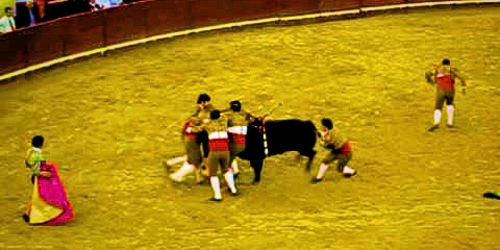 Manuel Maria Trindade