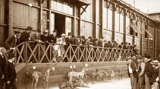 Muestra de la ARU del año 1895.