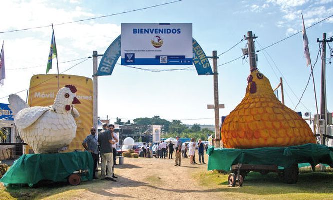 Gripe aviar: la tradicional fiesta en San Bautista quedó suspendida.