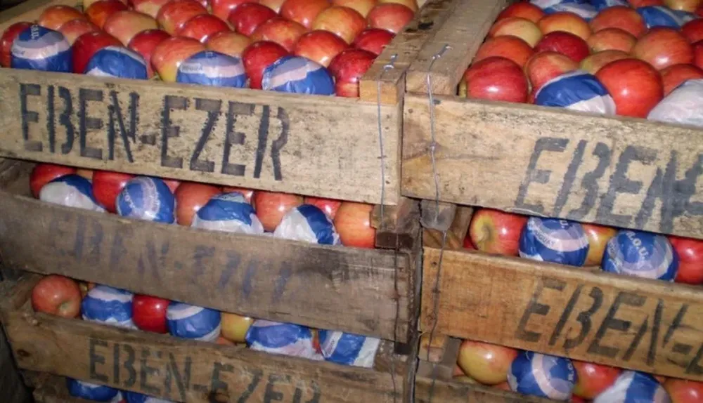 En un año, en promedio, los precios de frutas y hortalizas subieron 8,5%