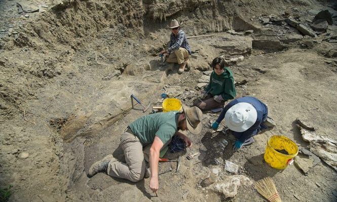 Pipestone Creek aún guarda muchos secretos.