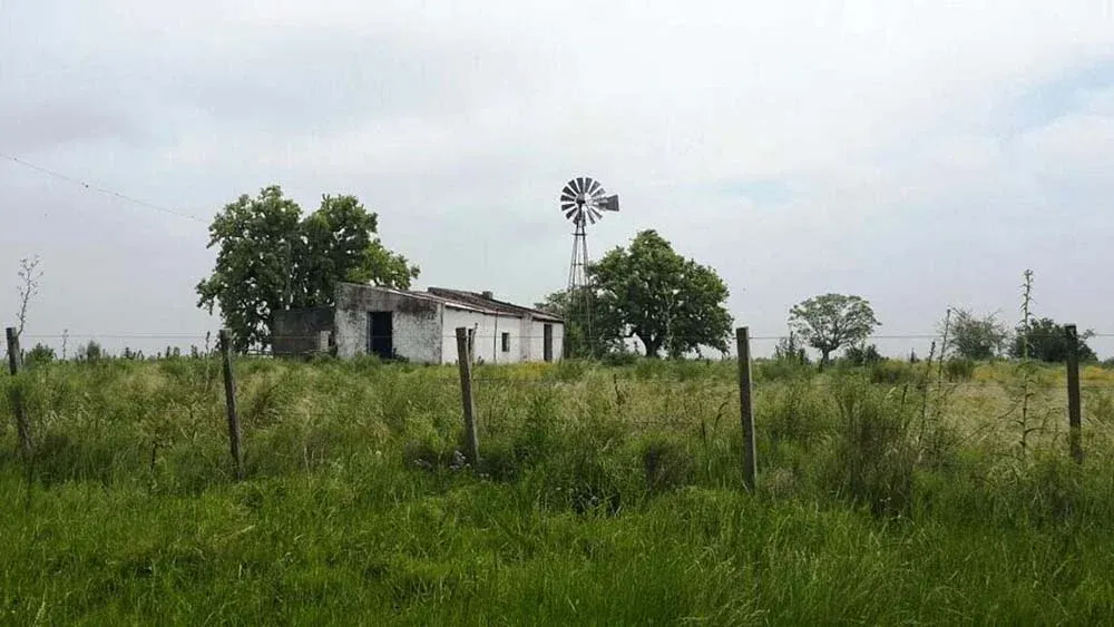 0016963820.webp