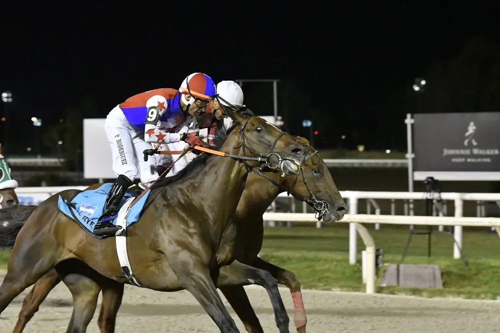 Premio Ramírez se correrá el próximo 6 de enero