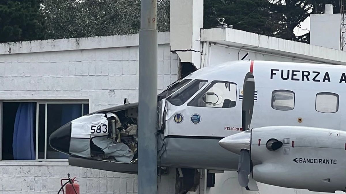 www-elobservador-com-uy.cdn.ampproject.org