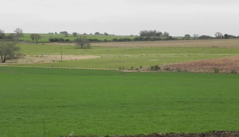 La demanda por campos para arrendar está muy firme y la oferta es escasa