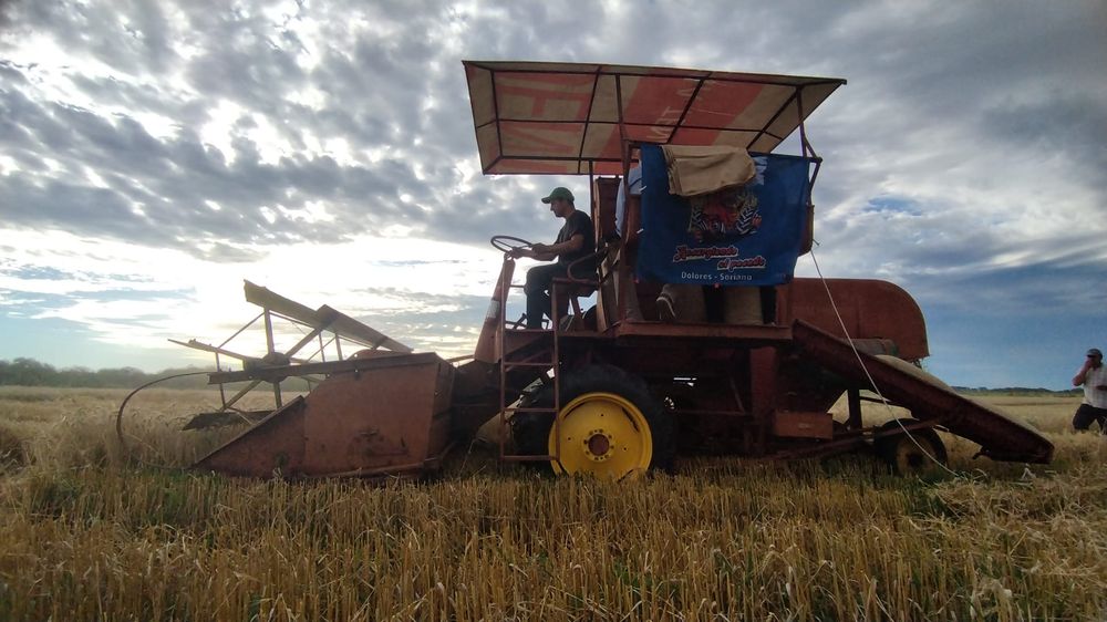 WhatsApp Image 2025-12-22 at 15.52.48