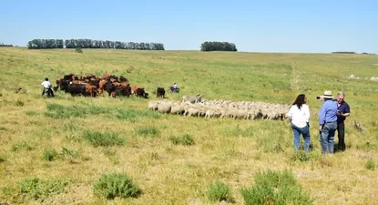 El Observador | 13su11-F2-2colCAMBIAR.webp
