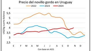 Mercado ganadero, Blasina y Asociados.