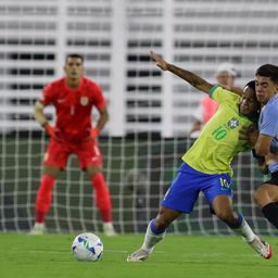 Thiago Helguera y Pedro Henrique