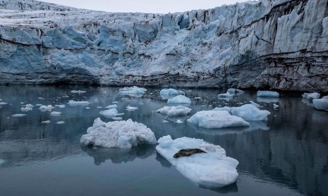 La temperatura en la Antártica están aumentando a una velocidad considerable.