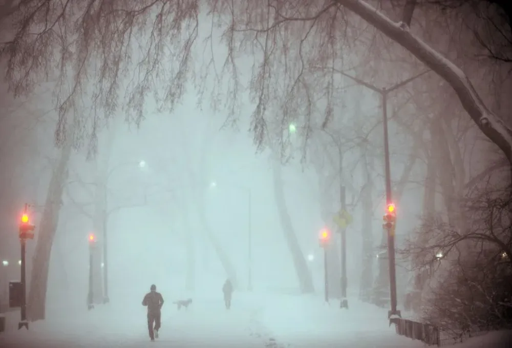 Corredores y paseadores de perros en el Central Park neoyorkino