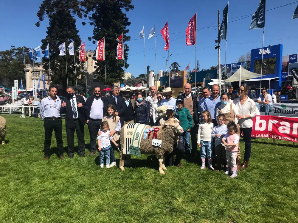 El Gran Campeón de pedigrí.
