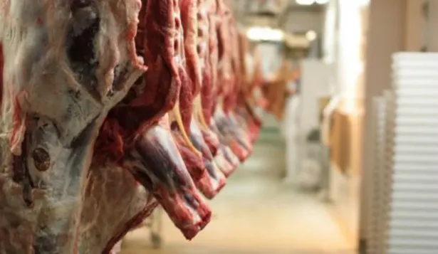 Precio de exportación de la industria volvió a crecer en febrero por carne y lácteos