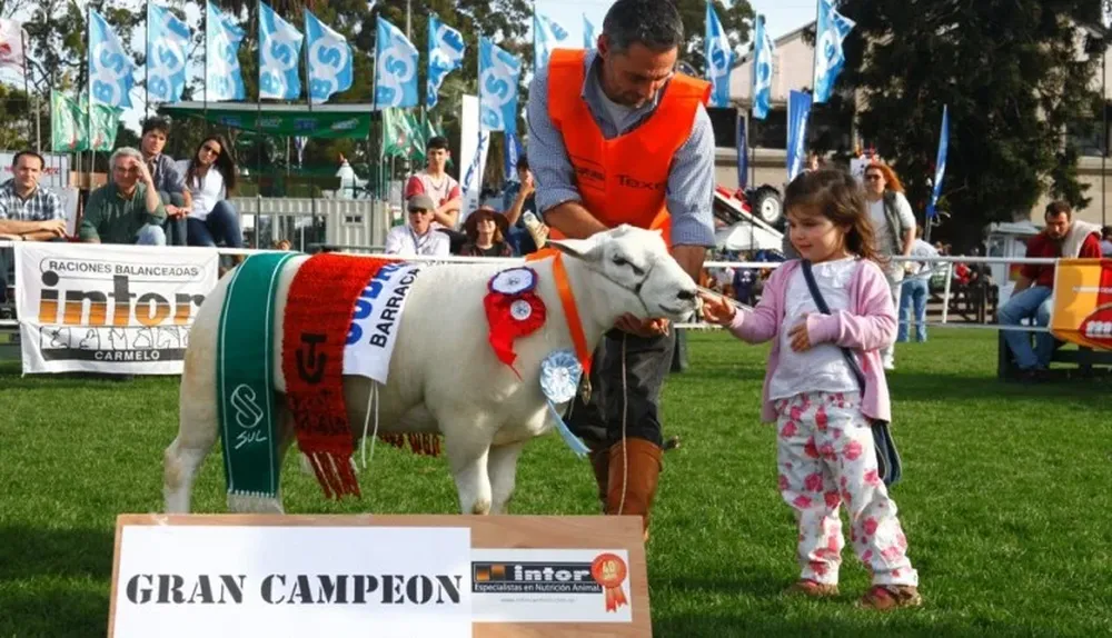 Presente y futuro de la raza Texel la Rural