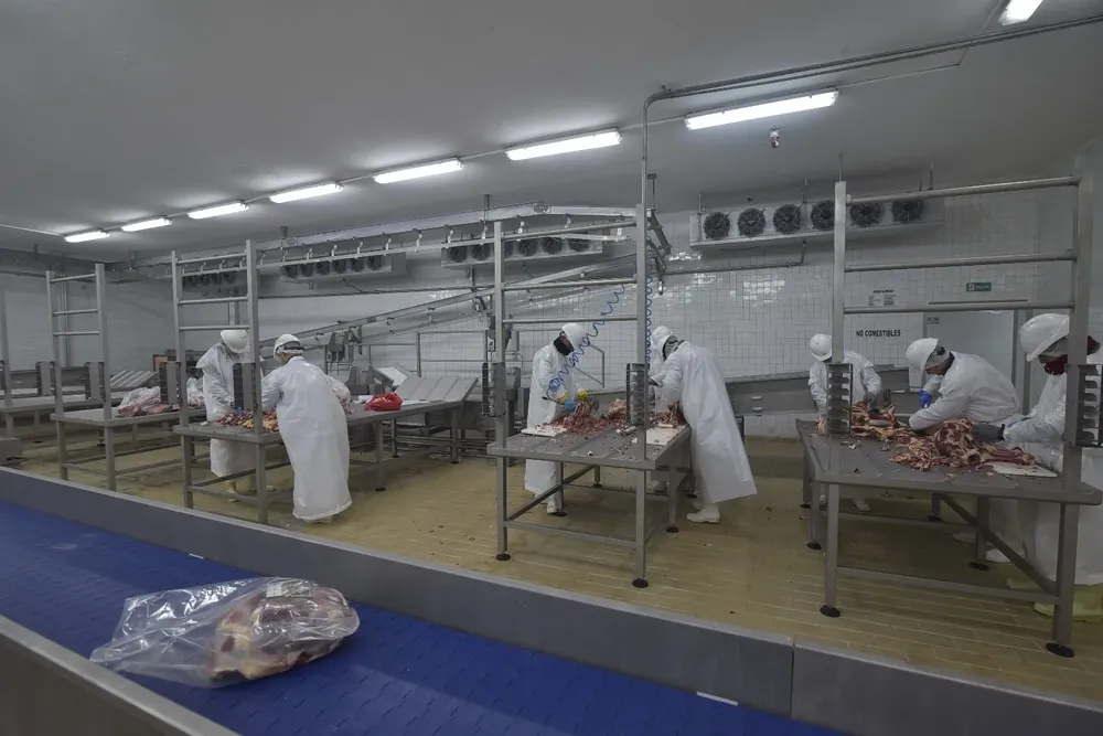 La industria frigorífica tuvo un año de faena récord con más de 2,6 millones de cabezas.