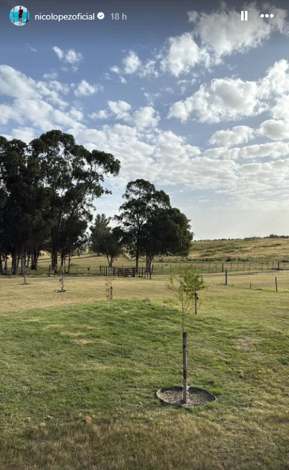 El lugar de desenchufe del Diente López