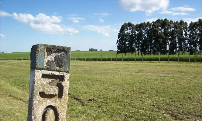 Ruralistas del Mercosur preocupados por invasiones a campos