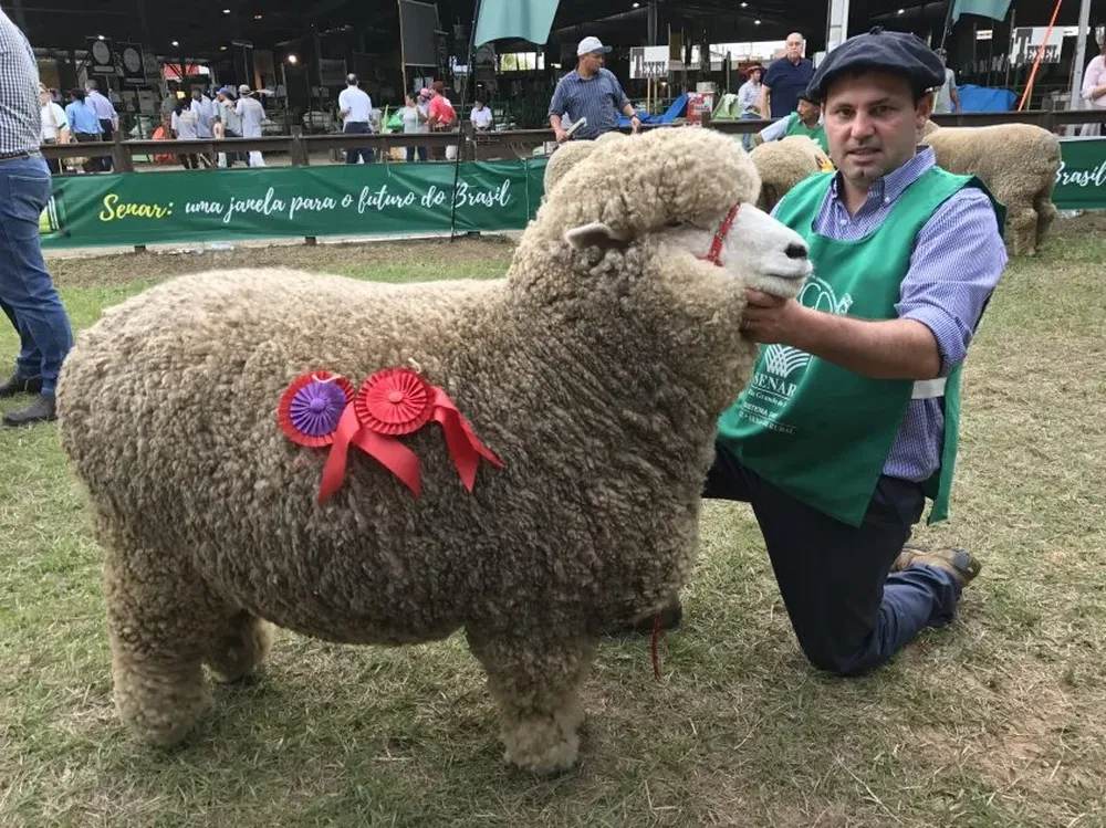 Mariano Rodríguez con la Reservada Campeona Oveja en la raza Corriedale.